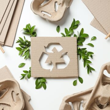 Umweltfreundlicher Karton für nachhaltigen Verpackungsbedarf